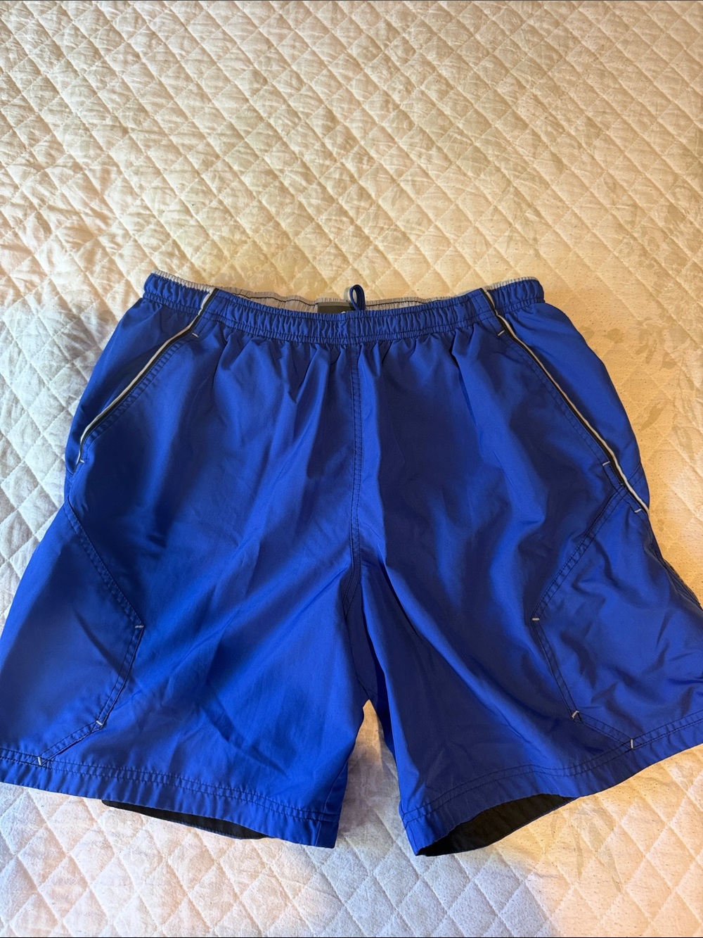 Speedo Royal Blue Men's Swim Shorts